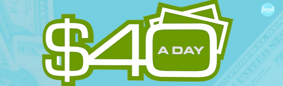 $40 a Day large banner