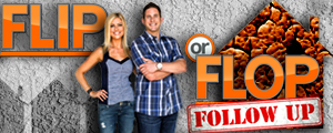 Flip or Flop Follow Up small banner