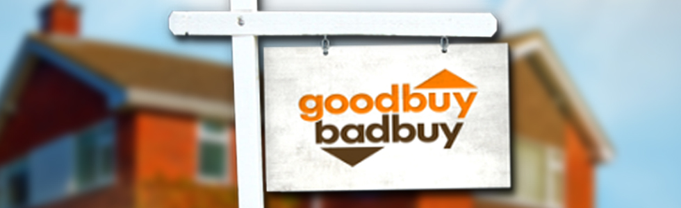 Goodbuy Badbuy large banner