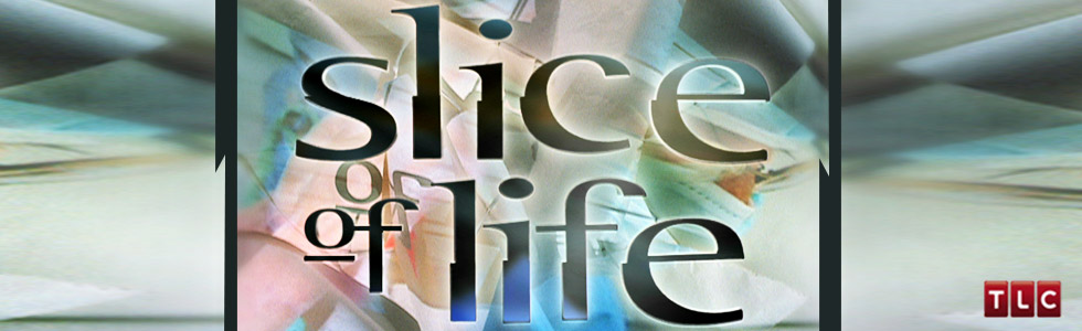 Slice of Life large banner